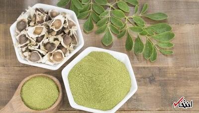 پودر مورینگا؛ پنج خاصیت شگفت‌انگیز برای سلامتی بدن