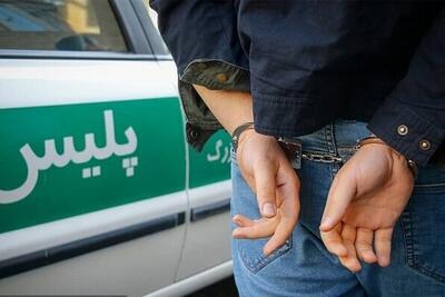 کاهش ۴۱ درصدی سرقت، از سال ۱۴۰۱ تاکنون