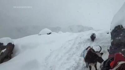 ببینید؛ تلاش برای نجات ۱۰۰۰ کوهنورد گیر افتاده در اورست