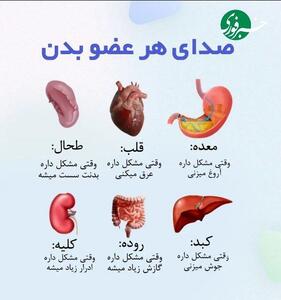  صدای هر عضو بدن چیست؟