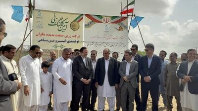 بزرگ‌ترین کارخانه کنسرو تن ماهی کشور در چابهار احداث می‌شود