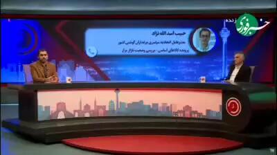 حباب به مرغ هم رسید؛ ادعای مدیر اتحادیه مرغداران از میزان حباب قیمتی مرغ!