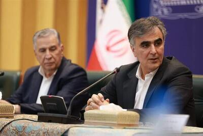 فرزین: کارگروه مشترک برای بررسی دغدغه‌های بخش خصوصی تشکیل می‌شود