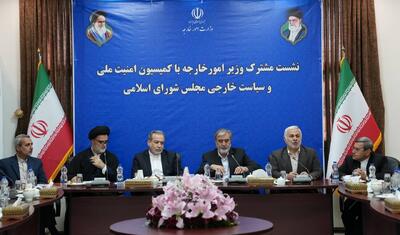 جزییات نشست جدید کمیسیون امنیت ملی و سیاست خارجی مجلس با عراقچی