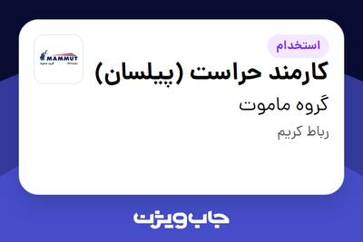 استخدام کارمند حراست (پیلسان) - آقا در گروه ماموت