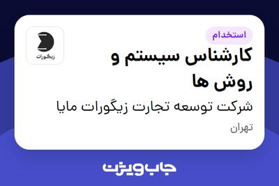  استخدام کارشناس سیستم و روش ها در شرکت توسعه تجارت زیگورات مایا