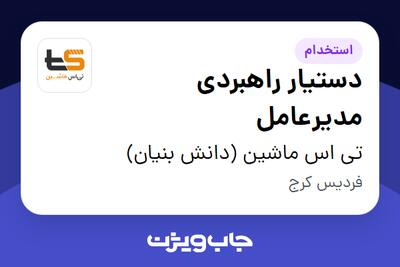 استخدام دستیار راهبردی مدیرعامل - خانم در تی اس ماشین (دانش بنیان)