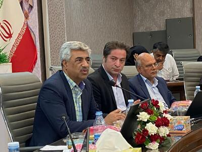 عاقلی: فرهنگ سازی در استاندارد نقش موثری در کیفیت کالاهای داخلی دارد