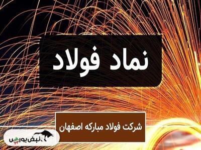 رکورد تاریخی فولاد مبارکه در سال ۱۴۰۳ | جهش سودآوری و آغاز عرضه صادراتی ورق گرم