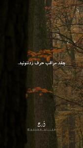 فال حافظ 14 مهر