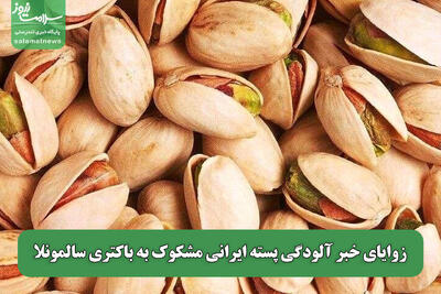 زوایای خبر آلودگی پسته ایرانی مشکوک به باکتری سالمونلا