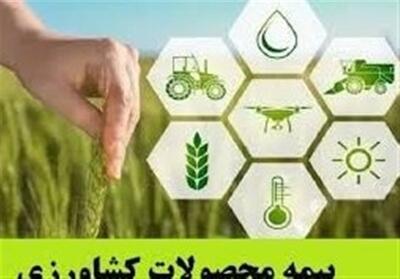 افزایش پوشش بیمه‌ای محصولات کشاورزی و دامی در اردبیل - تسنیم