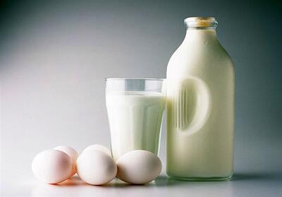 صادرات 607 تن محصولات لبنی از چهارمحال و بختیاری - تسنیم