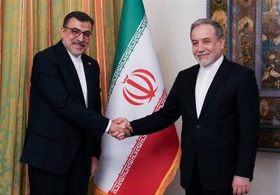 دیدار سفرای ایران در تانزانیا و سازمان همکاری اسلامی با عراقچی - تسنیم
