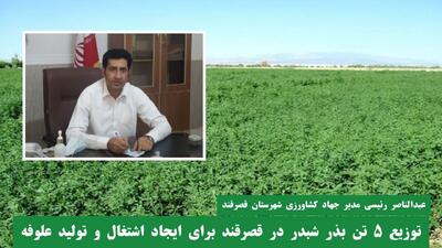 توزیع ۵ تن بذر شبدر در قصرقند برای ایجاد اشتغال و تولید علوفه