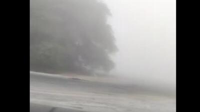 مه غلیظ در جاده برازجان بوشهر