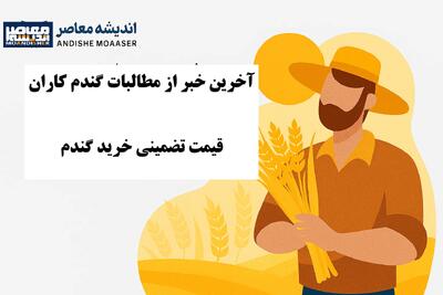 خبر خوش برای گندمکاران امروز سه شنبه 15 مهر 1404 / قیمت تضمینی گندم سال زراعی جدید اعلام شد+ جزئیات نحوه خرید و تحویل گندم فاش شد