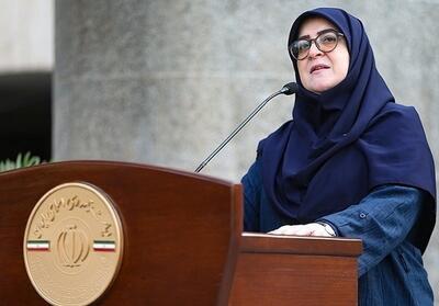 شیوه جدیدی برای مقابله با اسنپ بک اتخاذ کردیم/ دولت از نوسان قیمت‌ها با خبر است