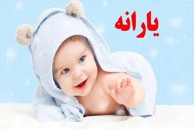 خبر خوش برای خانواده‌ها | مالمیر: پرداخت ماهانه ۲ میلیون تومان به مادران شروع می‌شود