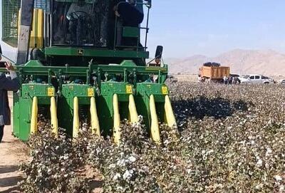 استقرار کمباین برداشت مکانیزه پنبه برای اولین بار در گلستان
