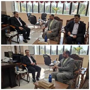 چرایی عرضه تبعیض‌آمیز سوخت در کشور؛ پراید در صف، پورشه و بنز آزاد!