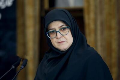 سخنگوی دولت: آرایش دولت برای مواجهه با شرایط پس از فعال‌شدن مکانیسم ماشه تغییر کرده است