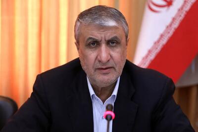 سخنگوی کمیسیون امنیت ملی: سازمان انرژی اتمی وارد مرحله صنعتی شد