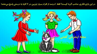 در این بازی فکری، صاحب گربه کیست؟ فقط ۱٪ از افراد بسیار تیزبین در 7 ثانیه به درستی پاسخ می‌دهند!