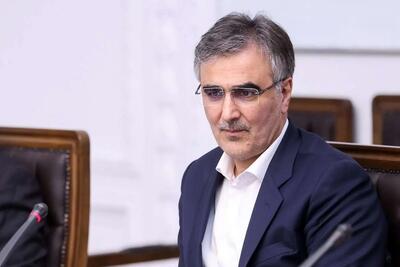 فرزین: سیاست‌های ارزی و تامین مالی برای بازگشت به مسیر رشد اقتصادی اصلاح می‌شود - ایران ویو 24