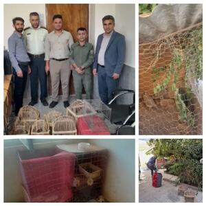 دستگیری متخلف زنده‌گیری کبک وحشی در شهرستان لردگان