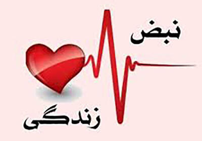 ارسال ۲۵۰ اثر به دبیرخانه جشنواره نبض زندگی در یزد