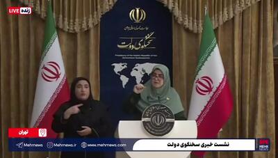 حال فاطمه مهاجرانی وسط نشست خبری بد شد؛ توقف نشست به خاطر شرایط سخنگوی دولت