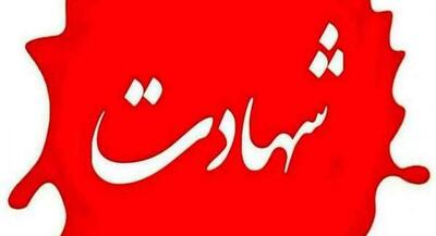 شهادت ۲ نیروی حافظ امنیت در سروآباد | جهان نیوز