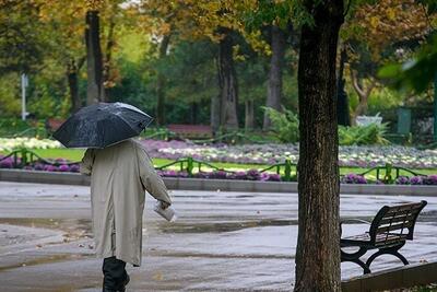 هواشناسی ۱۵ مهر؛ آغاز بارش‌های ۵ روزه و گرمای هوا از فردا در این استان‌ها
