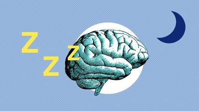 ۵ خوراکی که مغزتان را قوی‌تر و حافظه‌تان را بهتر می‌کند