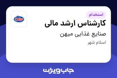 استخدام کارشناس ارشد مالی در صنایع غذایی میهن