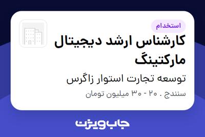 استخدام کارشناس ارشد دیجیتال مارکتینگ در توسعه تجارت استوار زاگرس