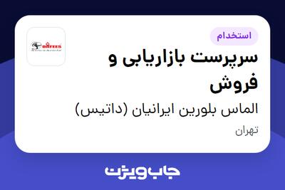 استخدام سرپرست بازاریابی و فروش - آقا در الماس بلورین ایرانیان (داتیس)