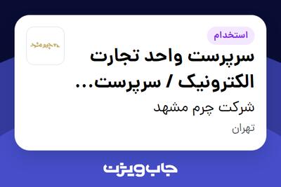 استخدام سرپرست واحد تجارت الکترونیک / سرپرست فروش آنلاین در شرکت چرم مشهد