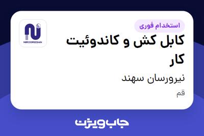 استخدام کابل کش و کاندوئیت کار - آقا در نیرورسان سهند
