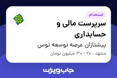استخدام سرپرست مالی و حسابداری در پیشتازان عرصه توسعه توس