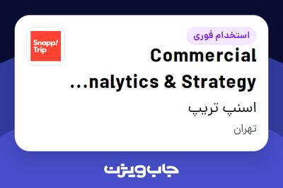 استخدام Commercial Analytics   Strategy Lead در اسنپ تریپ