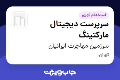 استخدام سرپرست دیجیتال مارکتینگ در سرزمین مهاجرت ایرانیان