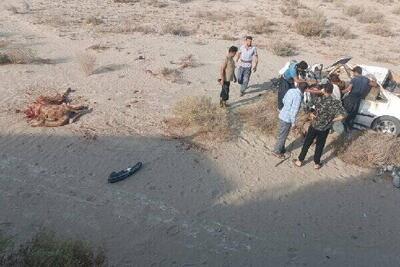 مرگ جوان جاسکی پس از تصادف با شتر