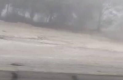 فیلم/ مه غلیظ در جاده برازجان بوشهر