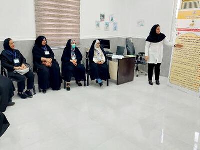 ۴۵ درصد از زنان واجد شرایط دشتستان مشاروه فرزند آوری دریافت کرده‌اند