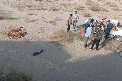 مرگ جوان جاسکی پس از تصادف با شتر