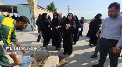 پویش «بردستان سبز» با مشارکت مردم و نهادها جان تازه گرفت