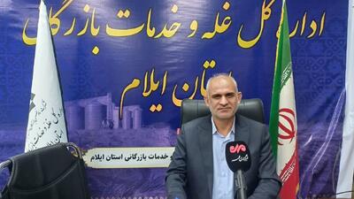 باباخانی: ذخایر کالاهای اساسی در ایلام مناسب است