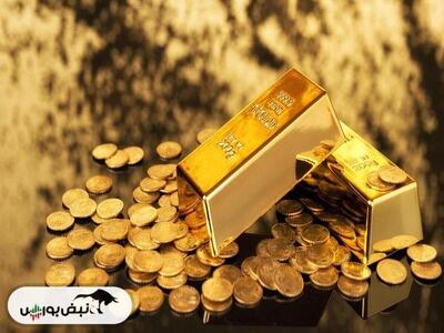 فرصت ۸ ساعته ثبت سفارش سکه